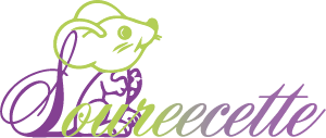 logo soureecette